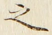 “之”字