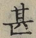 글자 甚