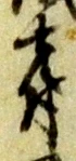 先 위치 확인됨