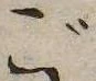 位置 確認된 ご