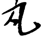 已定位丸