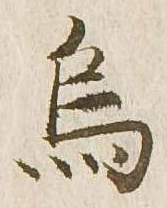 位置定マレル烏
