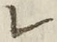 文字レ
