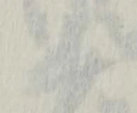 已定位井