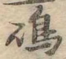 島 위치 확인됨