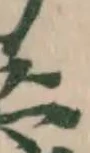 藭の位置