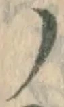 文字 ノ