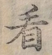 已定位看