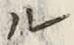 𡨸ル