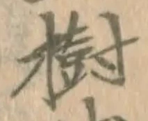 글자 樹