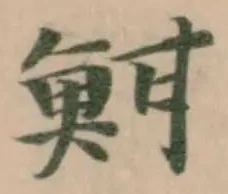 Đã định vị 魽