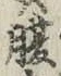 글자 腹