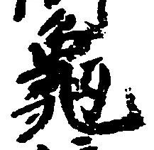 已定位亀
