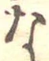な 위치 확인됨