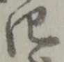 位置定マレル四