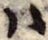 𛂞の位置