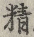 精 위치 확인됨