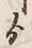 文字ゟ