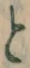 글자 と