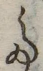 𛁟 위치 확인됨