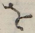已定位𛄜