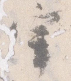 位置 確認된 宰