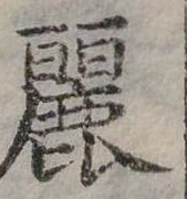 已定位麗