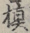 Đã định vị 槙