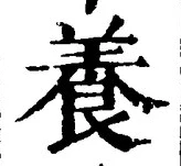 글자 養