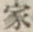 글자 家