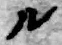 字ル