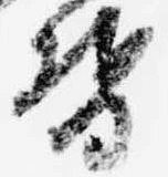 已定位督