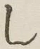 Character し