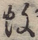 位置 確認된 蚊