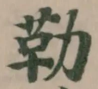 位置定マレル勒