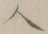 字人