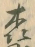 森 위치 확인됨