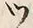「ツ」字
