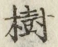 글자 樹