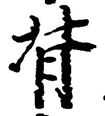 背 위치 확인됨