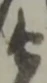 衛 위치 확인됨