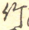 竹 위치 확인됨