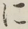 글자 に