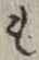 文字 も