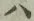 字ハ