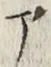 字ア