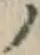 “ノ”字