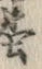 Character 墨