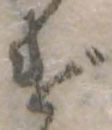 げの位置