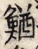 Đã định vị 鰌